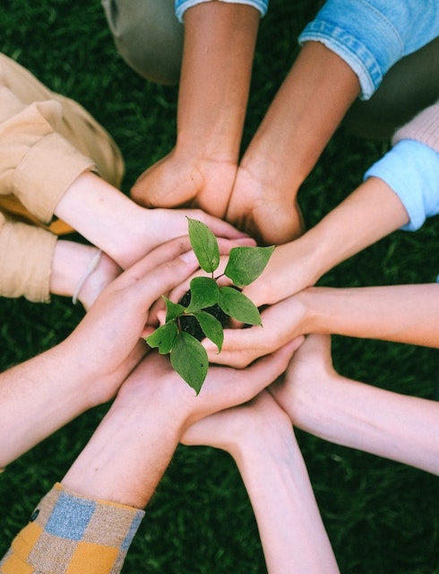 Un accompagnement sur mesure illustration